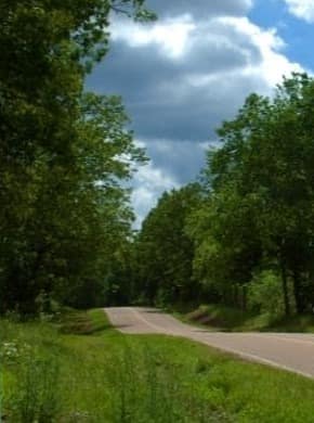 A paved rural trail between tall green trees